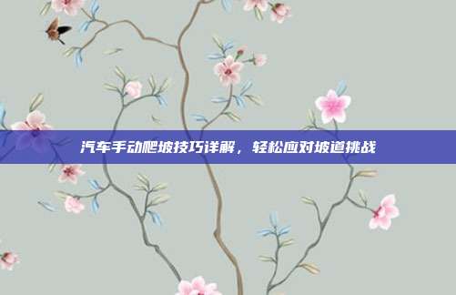 汽车手动爬坡技巧详解，轻松应对坡道挑战