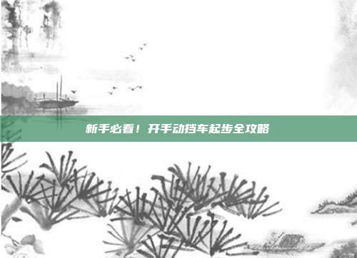新手必看！开手动挡车起步全攻略