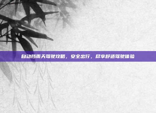 自动挡雨天驾驶攻略，安全出行，尽享舒适驾驶体验