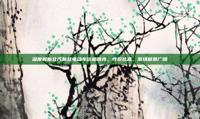 深度解析北汽新款电动车价格曝光，性价比高，市场前景广阔