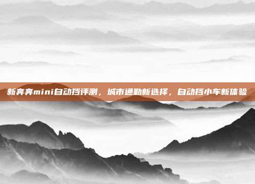 新奔奔mini自动挡评测，城市通勤新选择，自动挡小车新体验
