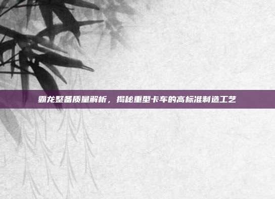 霸龙整备质量解析，揭秘重型卡车的高标准制造工艺