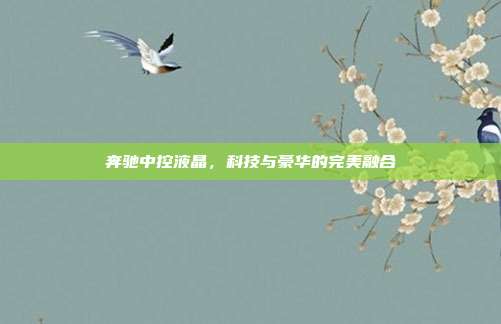 奔驰中控液晶，科技与豪华的完美融合