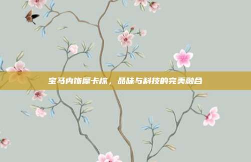 宝马内饰摩卡棕，品味与科技的完美融合