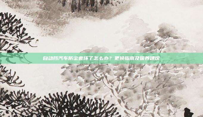 自动挡汽车防尘套坏了怎么办？更换指南及保养建议