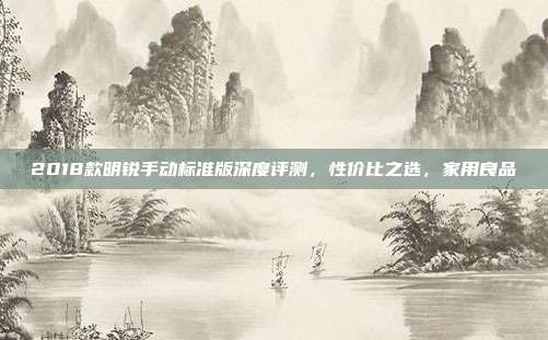 2018款明锐手动标准版深度评测，性价比之选，家用良品