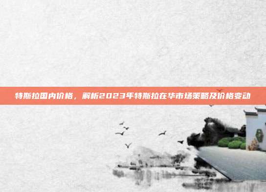特斯拉国内价格，解析2023年特斯拉在华市场策略及价格变动