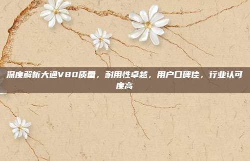 深度解析大通V80质量，耐用性卓越，用户口碑佳，行业认可度高