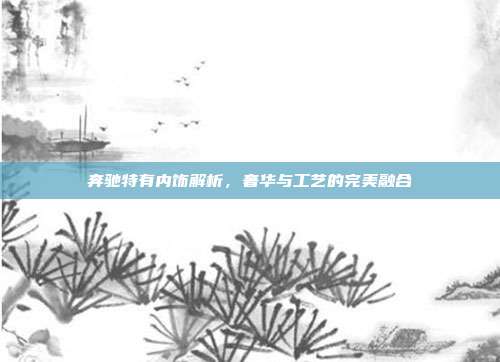 奔驰特有内饰解析，奢华与工艺的完美融合