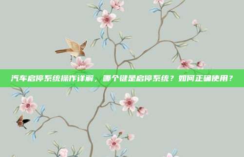汽车启停系统操作详解，哪个键是启停系统？如何正确使用？