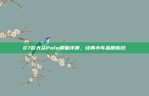 07款大众Polo质量评测，经典小车品质依旧