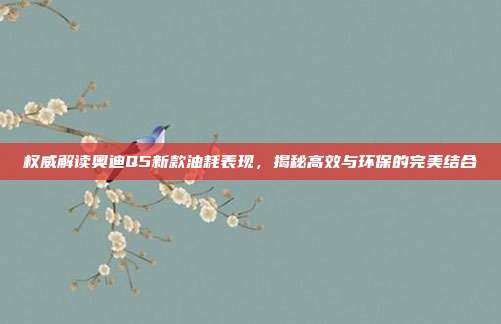 权威解读奥迪Q5新款油耗表现，揭秘高效与环保的完美结合