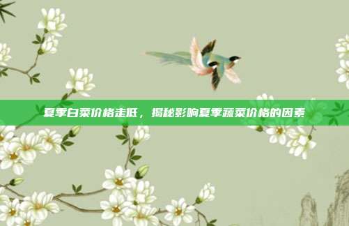 夏季白菜价格走低，揭秘影响夏季蔬菜价格的因素