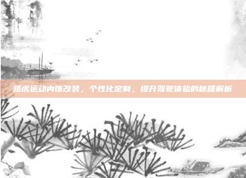路虎运动内饰改装，个性化定制，提升驾驶体验的秘籍解析