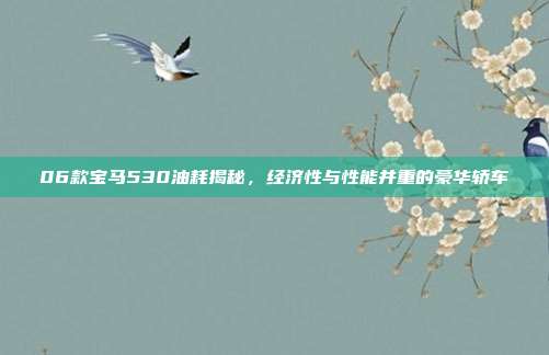 06款宝马530油耗揭秘，经济性与性能并重的豪华轿车