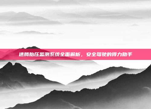 速腾胎压监测系统全面解析，安全驾驶的得力助手