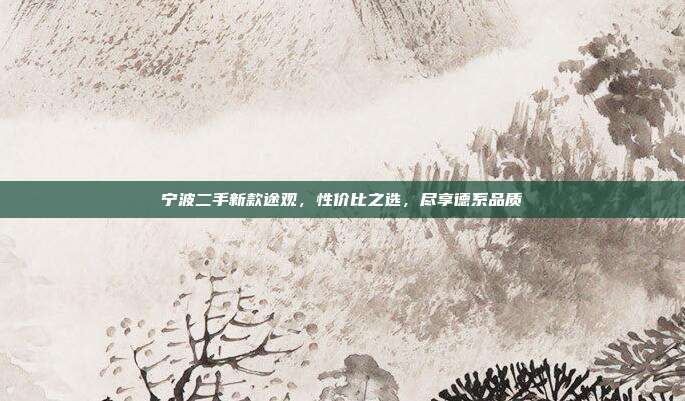 宁波二手新款途观，性价比之选，尽享德系品质