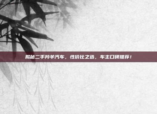 揭秘二手羚羊汽车，性价比之选，车主口碑推荐！