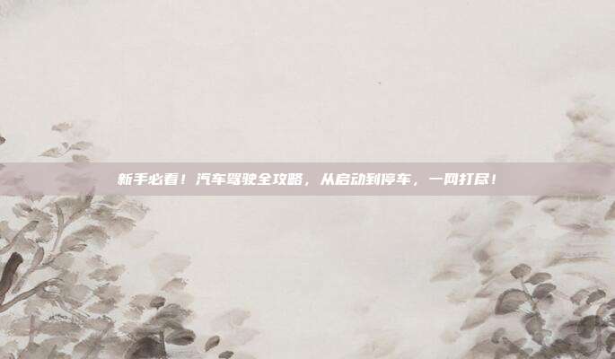 新手必看！汽车驾驶全攻略，从启动到停车，一网打尽！