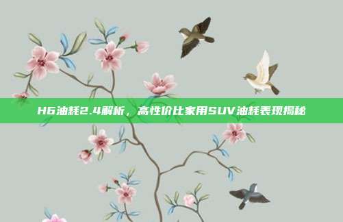 H6油耗2.4解析，高性价比家用SUV油耗表现揭秘