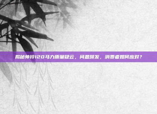 揭秘帅铃120马力质量疑云，问题频发，消费者如何应对？