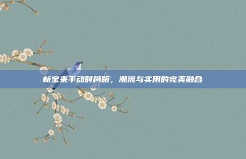 新宝来手动时尚版，潮流与实用的完美融合