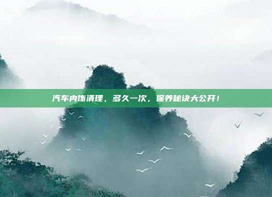 汽车内饰清理，多久一次，保养秘诀大公开！