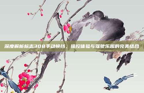 深度解析标志308手动换挡，操控体验与驾驶乐趣的完美结合