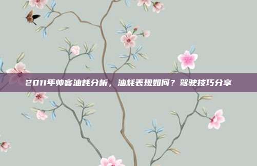 2011年帅客油耗分析，油耗表现如何？驾驶技巧分享
