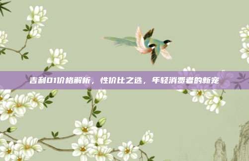 吉利01价格解析，性价比之选，年轻消费者的新宠