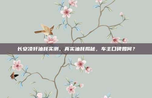 长安凌轩油耗实测，真实油耗揭秘，车主口碑如何？