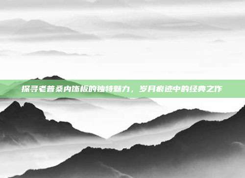 探寻老普桑内饰板的独特魅力，岁月痕迹中的经典之作