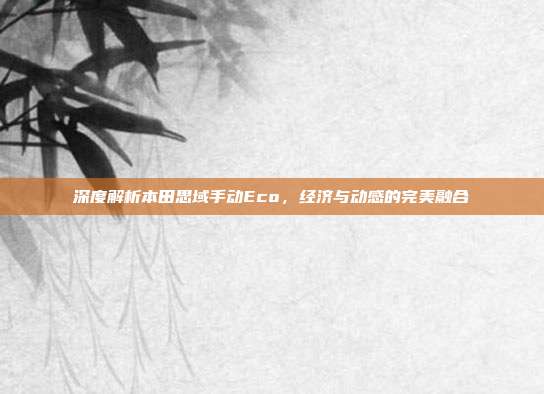 深度解析本田思域手动Eco，经济与动感的完美融合