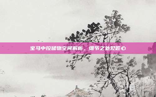 宝马中控储物空间解析，细节之处见匠心