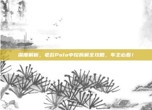 深度解析，老款Polo中控拆解全攻略，车主必看！