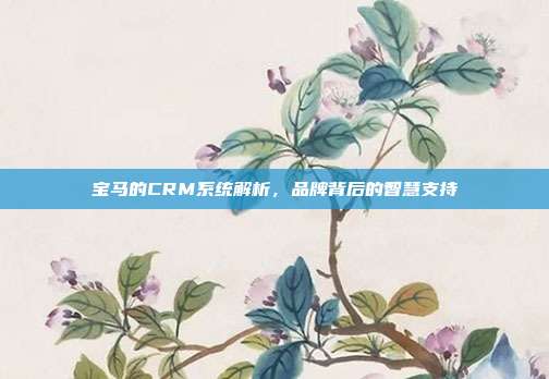 宝马的CRM系统解析，品牌背后的智慧支持