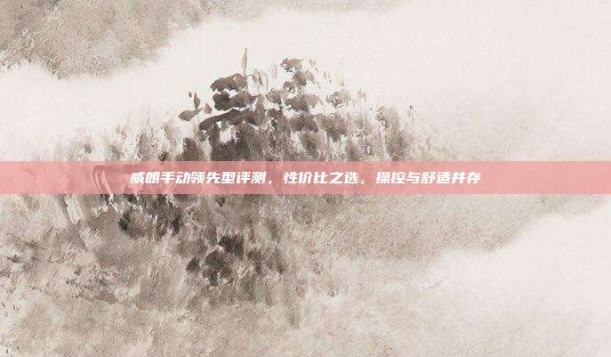 威朗手动领先型评测，性价比之选，操控与舒适并存