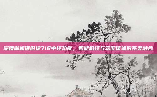 深度解析保时捷718中控功能，智能科技与驾驶体验的完美融合