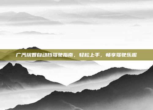 广汽缤智自动挡驾驶指南，轻松上手，畅享驾驶乐趣