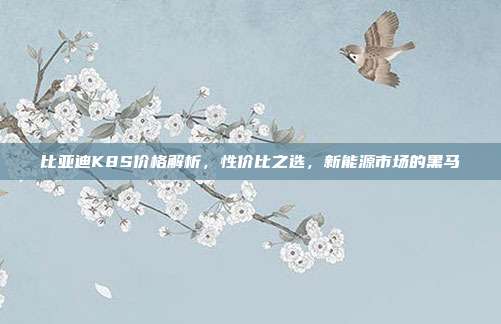 比亚迪K8S价格解析，性价比之选，新能源市场的黑马