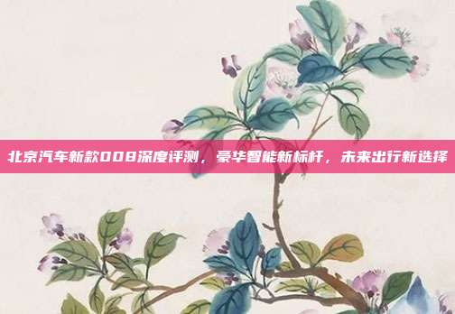 北京汽车新款008深度评测，豪华智能新标杆，未来出行新选择
