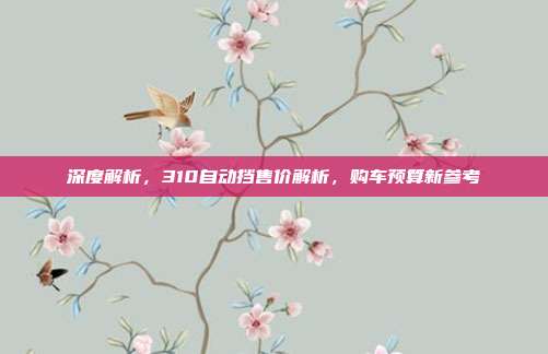 深度解析，310自动挡售价解析，购车预算新参考