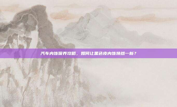 汽车内饰保养攻略，如何让黑色皮内饰焕然一新？