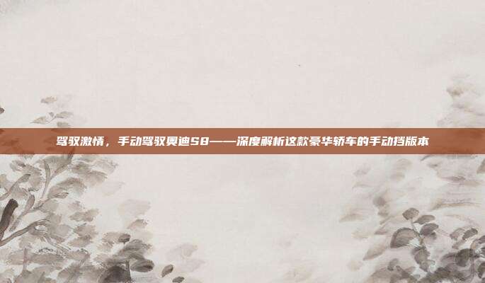 驾驭激情，手动驾驭奥迪S8——深度解析这款豪华轿车的手动挡版本