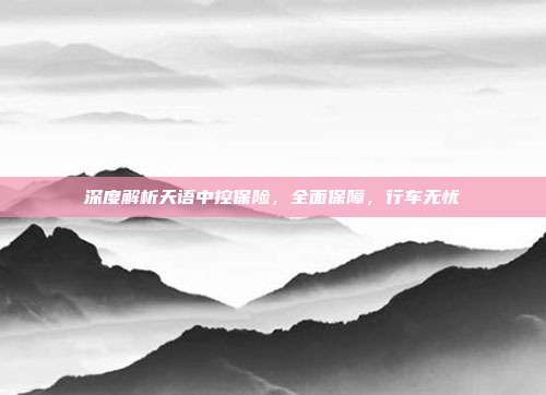 深度解析天语中控保险，全面保障，行车无忧