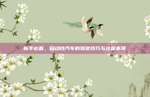 新手必看，自动挡汽车的驾驶技巧与注意事项