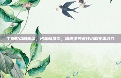 手动时尚潮音版，汽车新风尚，演绎潮流与技术的完美融合