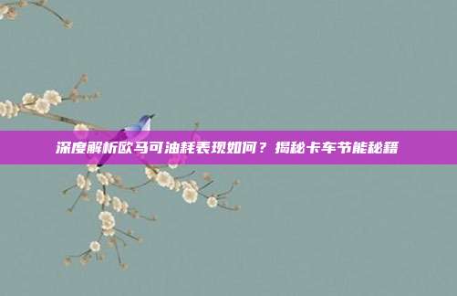 深度解析欧马可油耗表现如何？揭秘卡车节能秘籍