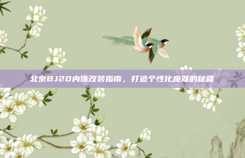 北京BJ20内饰改装指南，打造个性化座驾的秘籍
