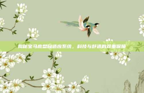 揭秘宝马底盘自适应系统，科技与舒适的双重保障
